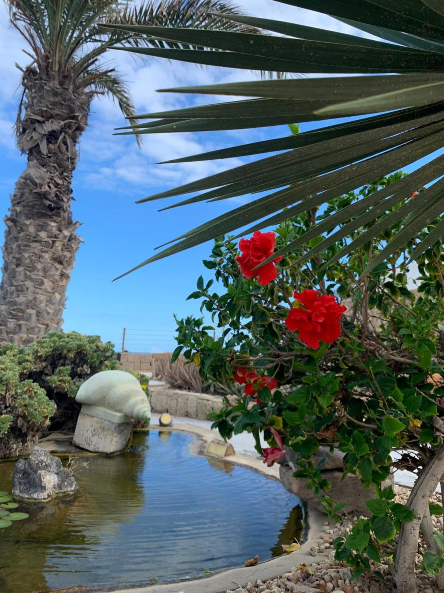 Little Paradise In El Medano 2 Granadilla De Abona Exterior photo